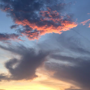 Meet your Posher, Kathrynewalker